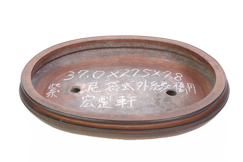 紫泥袋式外縁楕円 (Shidei FukuroShiki Gaien Daen)